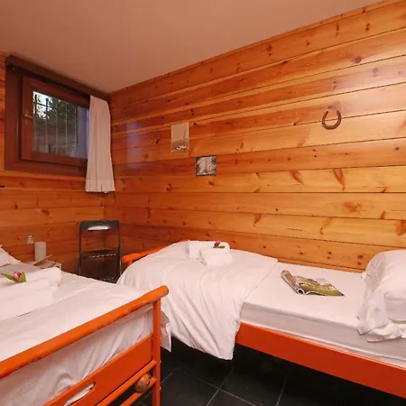 Villa Portesina, Lakefront With Private Pool And Garden Sleeps 10 San Felice del Benaco